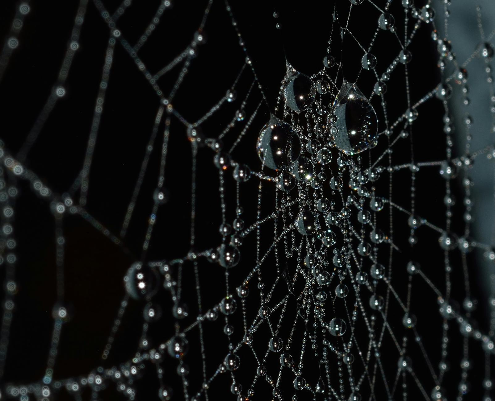 Connection